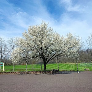 2022 0413 Westbranch