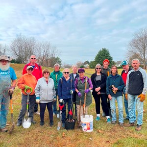 Tree Planting. November 20, 2024
