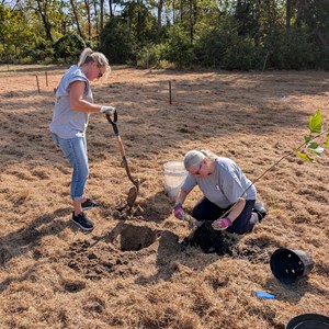 10-3-2025 Tree Planting