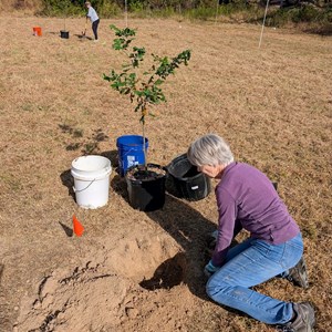 10-3-2025 Tree Planting