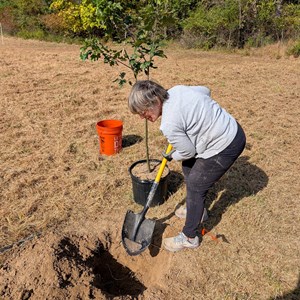 10-3-2025 Tree Planting
