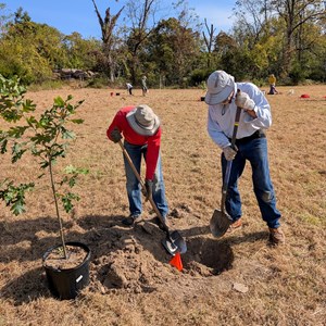 10-3-2025 Tree Planting