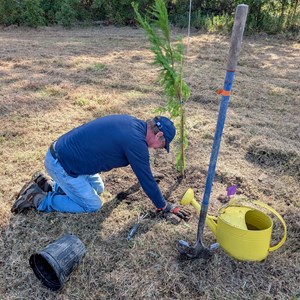 10-3-2025 Tree Planting