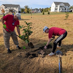 10-3-2025 Tree Planting