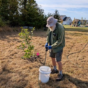 10-3-2025 Tree Planting