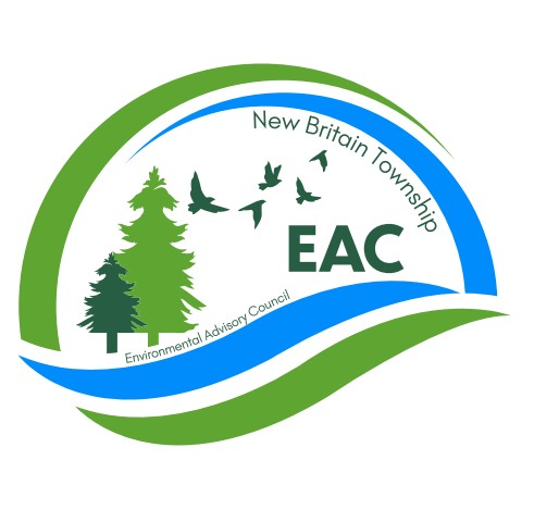 EAC May Tip - Pull that Garlic Mustard!