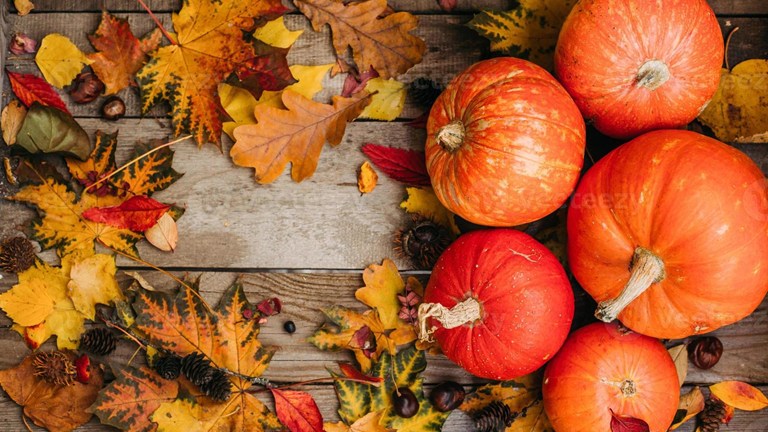 Annual Fall Festival - Sept. 19th!